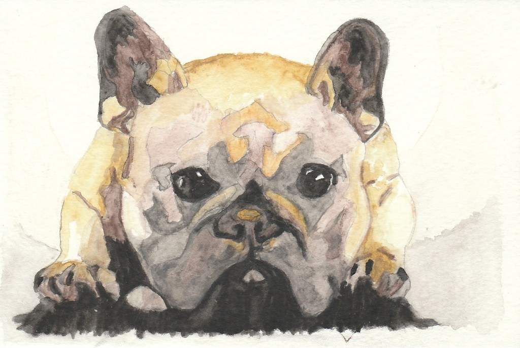 Watercolor: Frenchie
