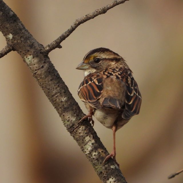 What You Can&nbsp;Do