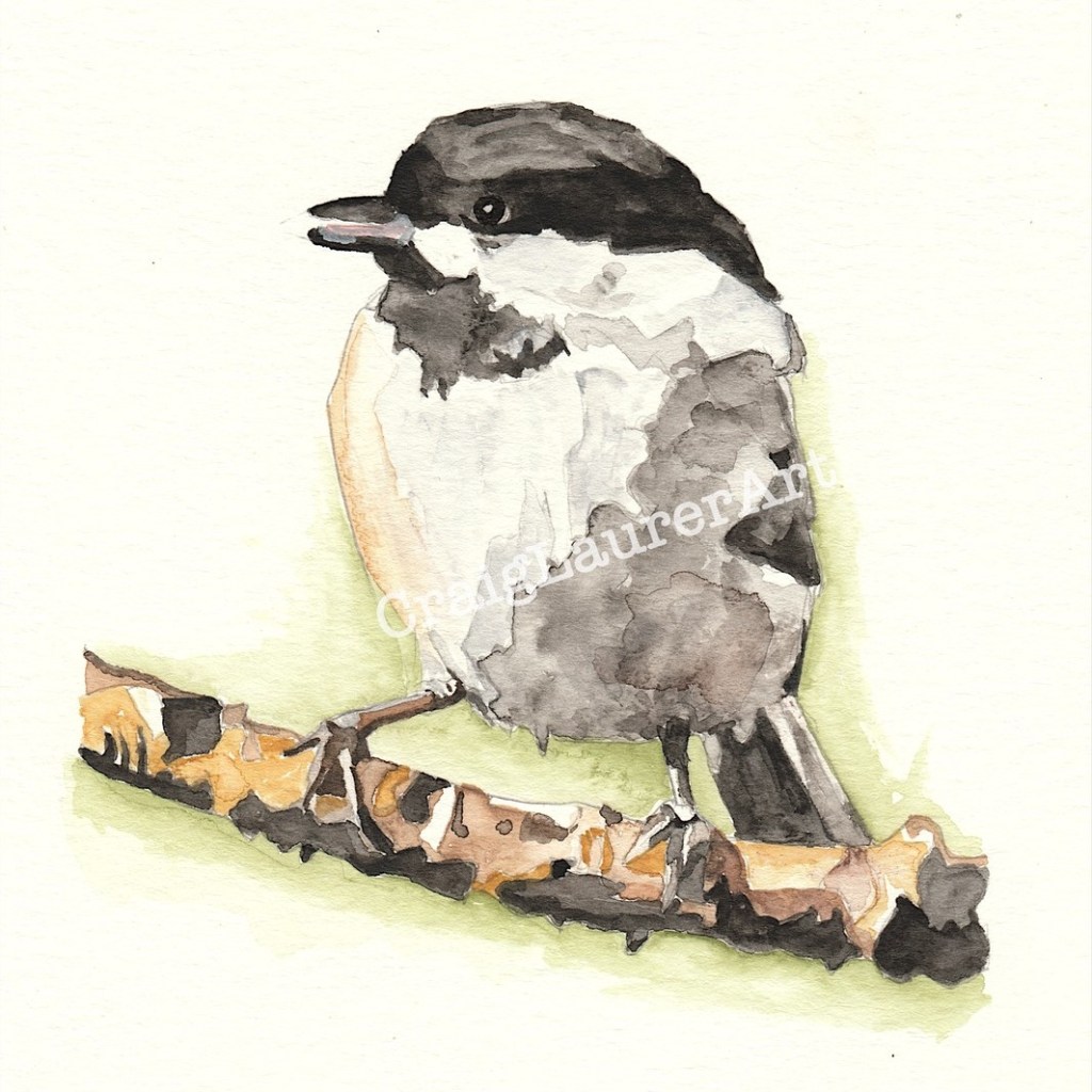 Bird Watercolor: Carolina&nbsp;Chickadee